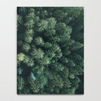 Forest from above - Landscape Photography Notebook Gallery Image 4