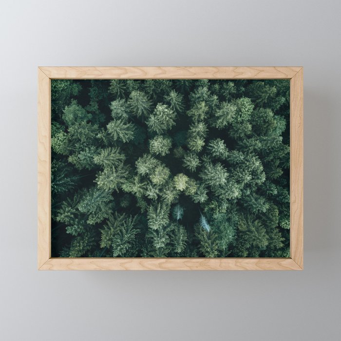 Forest from above - Landscape Photography Mini Art Print Gallery Image 1
