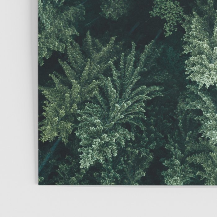 Forest from above - Landscape Photography Poster Gallery Image 3