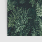 Forest from above - Landscape Photography Poster Gallery Image 3