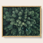 Forest from above - Landscape Photography Serving Tray Gallery Image 1