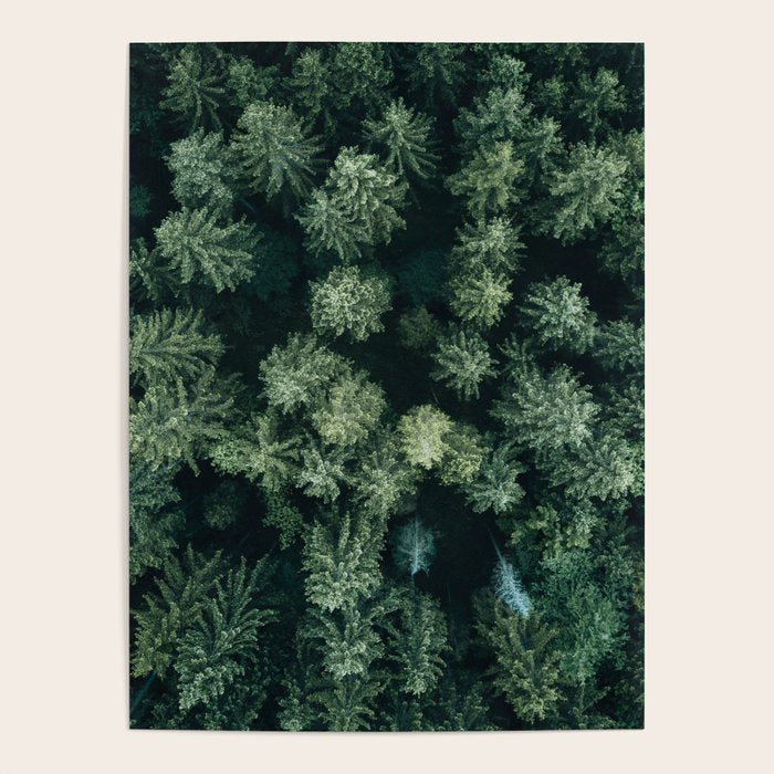 Forest from above - Landscape Photography Poster Gallery Image 4
