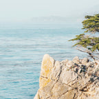 Lone Cypress Tree - Coastal California Landscape Photography Coffee Mug Gallery Image 2