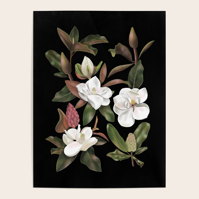 Magnolias Flowers Black Poster Gallery Image 4