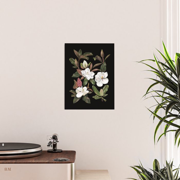 Magnolias Flowers Black Poster Gallery Image 2