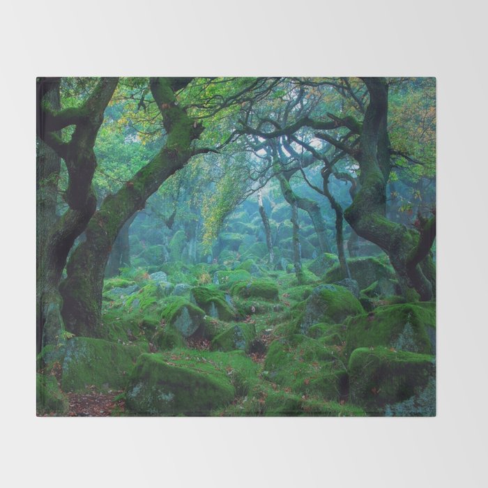 Enchanted forest mood Throw Blanket Gallery Image 2