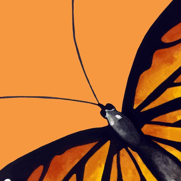 Monarch Butterflies Coffee Mug Gallery Image 2