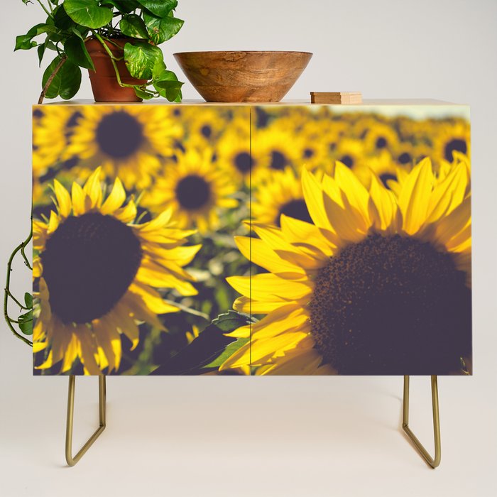 Summer Sunflower Love - boho flower photography Credenza Gallery Image 1