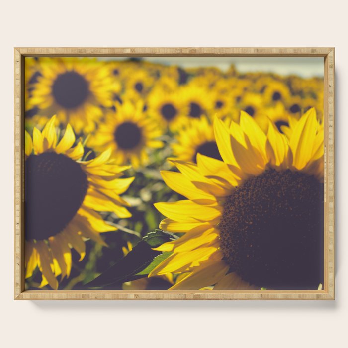 Summer Sunflower Love - boho flower photography Serving Tray Gallery Image 1