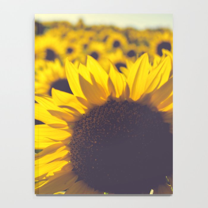 Summer Sunflower Love - boho flower photography Notebook Gallery Image 4