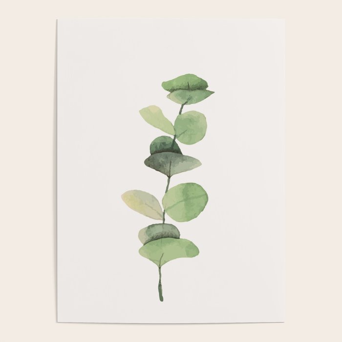 Watercolor Eucalyptus Branch Poster Gallery Image 1