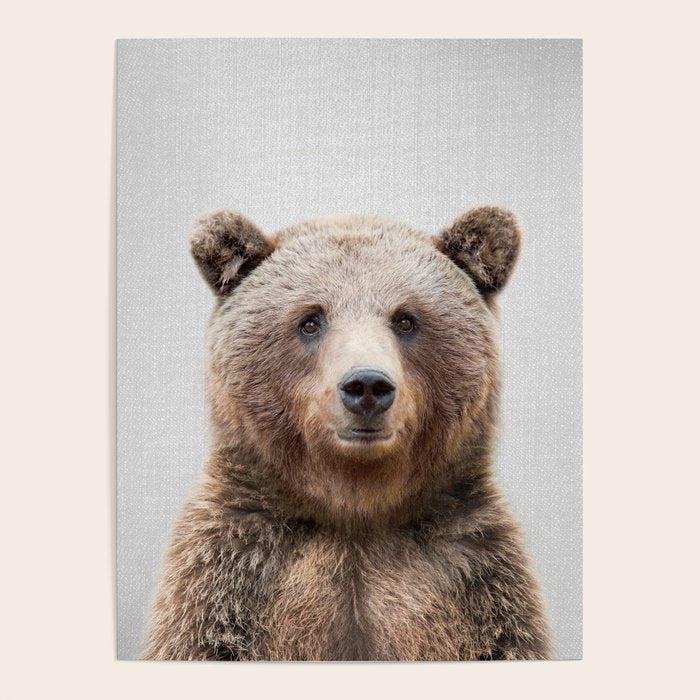 Grizzly Bear - Colorful Poster Gallery Image 4
