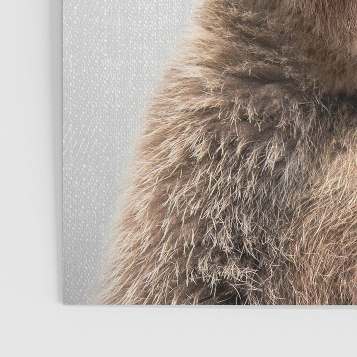 Grizzly Bear - Colorful Poster Gallery Image 3