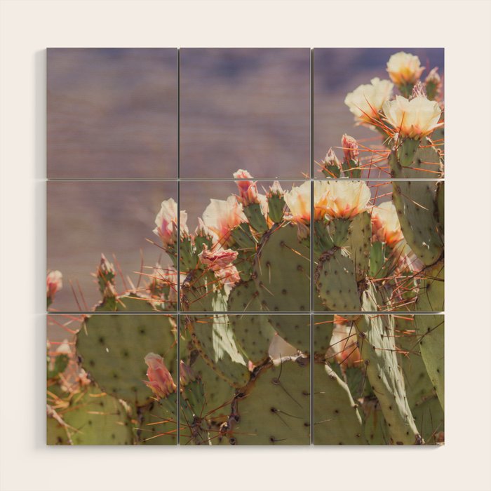 Prickly Pear Blooms I Wood Wall Art Gallery Image 1