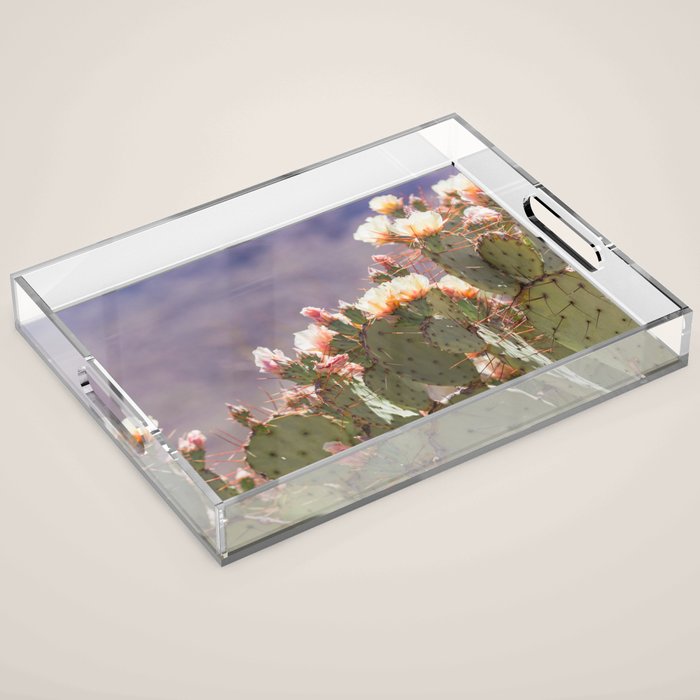 Prickly Pear Blooms I Acrylic Tray Gallery Image 1