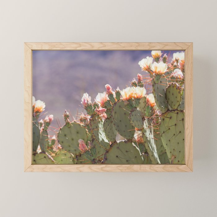 Prickly Pear Blooms I Mini Art Print Gallery Image 1