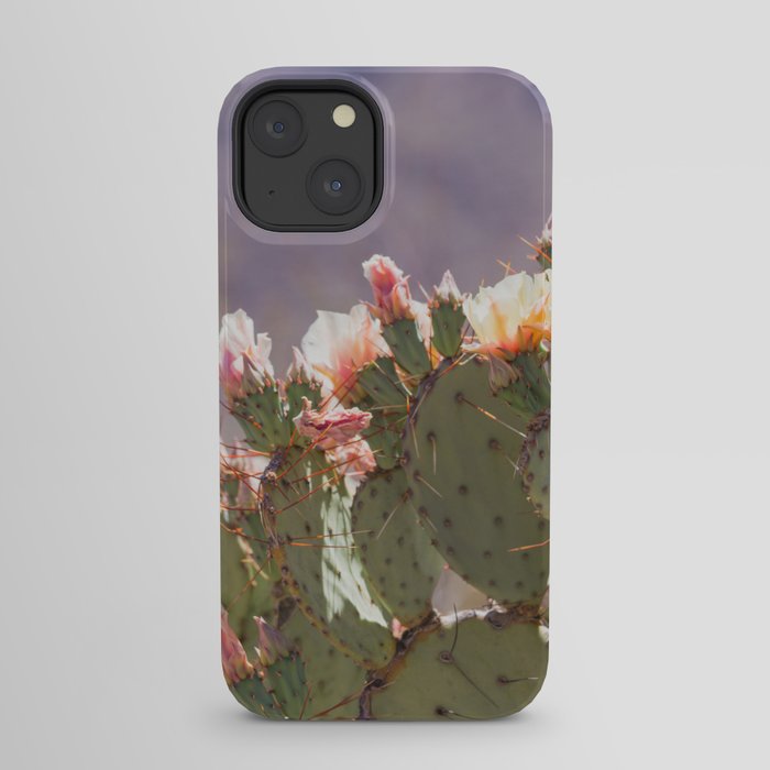 Prickly Pear Blooms I iPhone Case Gallery Image 21
