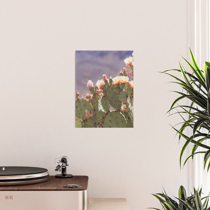 Prickly Pear Blooms I Poster Gallery Image 2