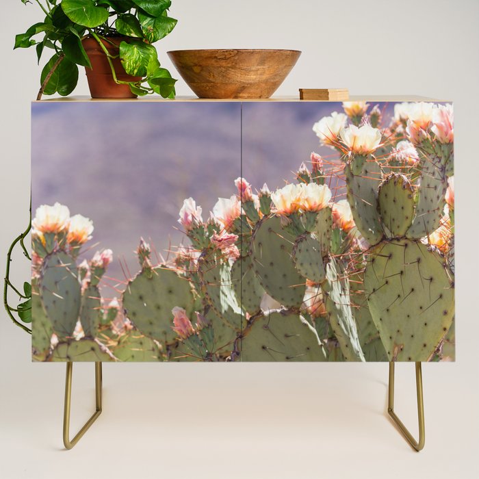 Prickly Pear Blooms I Credenza Gallery Image 1