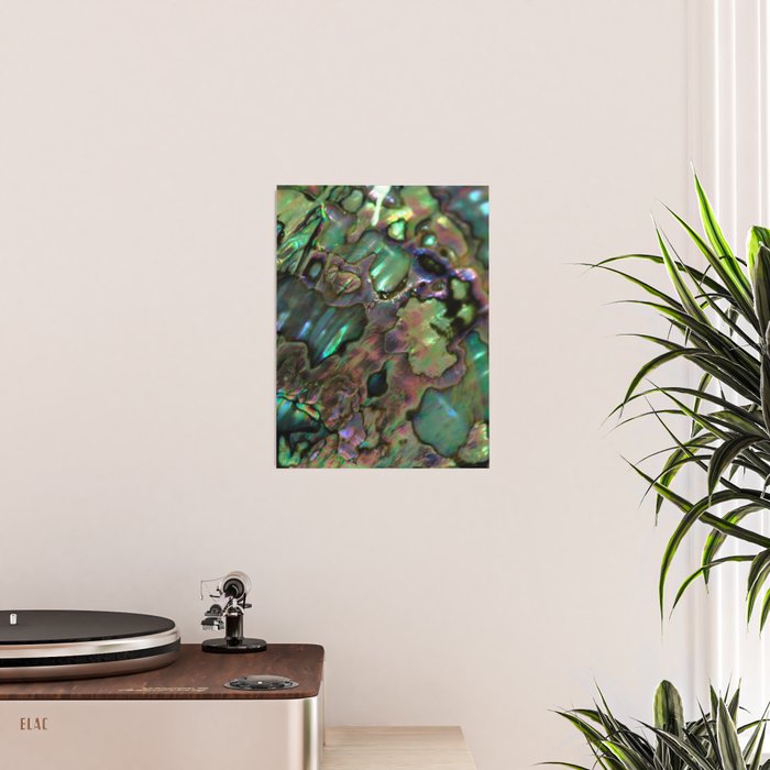 Oil Slick Abalone Mother Of Pearl Poster Gallery Image 2
