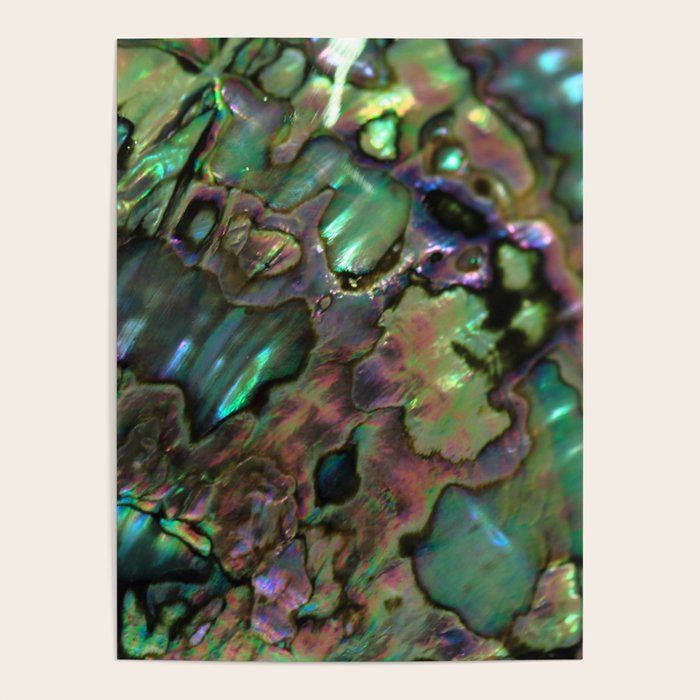 Oil Slick Abalone Mother Of Pearl Poster Gallery Image 1