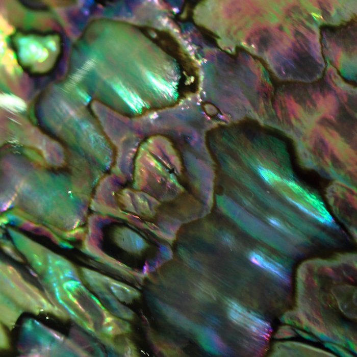Oil Slick Abalone Mother Of Pearl Coffee Mug Gallery Image 2