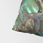 Oil Slick Abalone Mother Of Pearl Pillow Sham Gallery Image 4