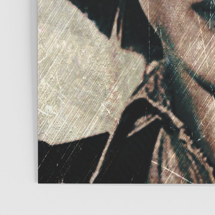 Lauryn Hill  Poster Gallery Image 3