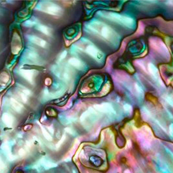 Glowing Cotton Candy Pink & Green Abalone Mother of Pearl Coffee Mug Gallery Image 2