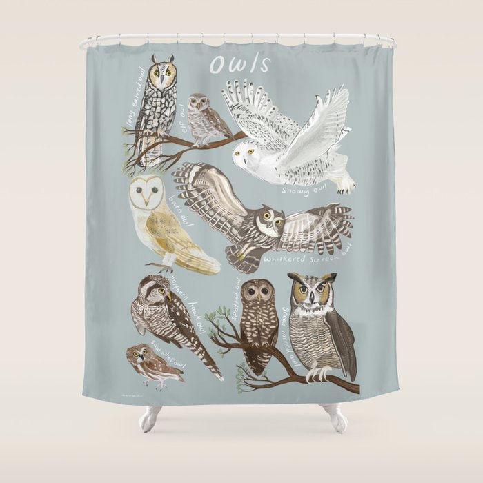 Owls Illustrated Chart Shower Curtain Gallery Image 1