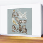 Owls Illustrated Chart Wall Mural Gallery Image 2