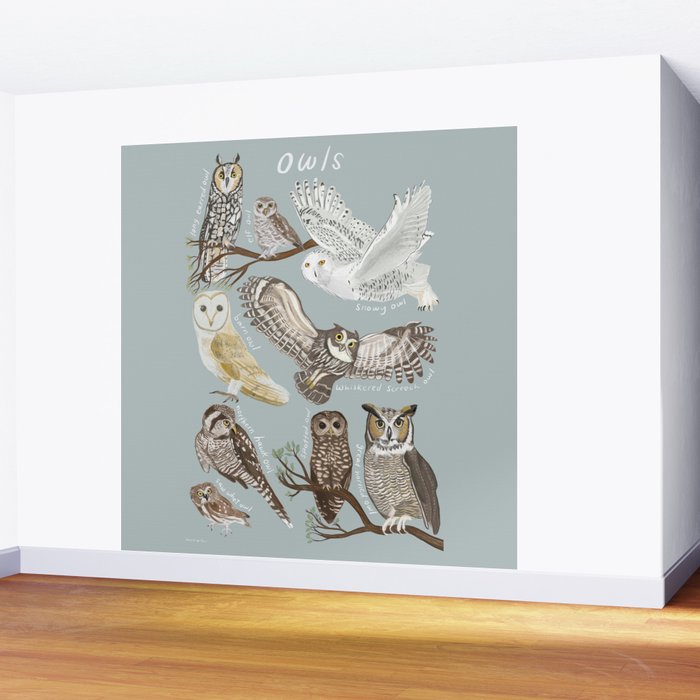 Owls Illustrated Chart Wall Mural Gallery Image 2