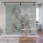 Owls Illustrated Chart Wall Mural Gallery Image 1