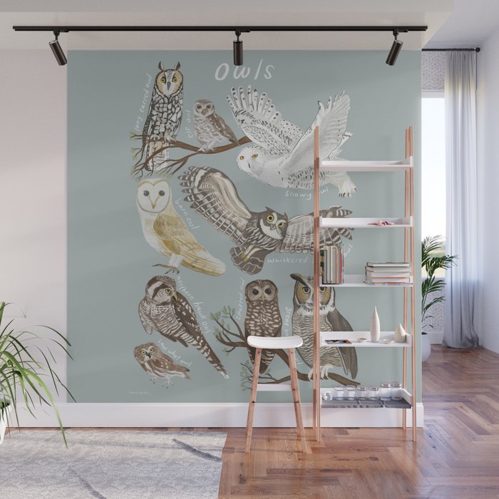 Owls Illustrated Chart Wall Mural Gallery Image 1