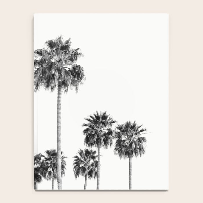Los Angeles Palm Trees - Black and White Photography Notebook Gallery Image 4