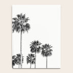 Los Angeles Palm Trees - Black and White Photography Notebook Gallery Image 4