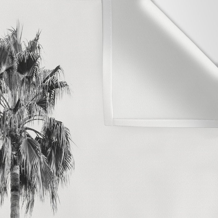 Los Angeles Palm Trees - Black and White Photography Wall Tapestry Gallery Image 3