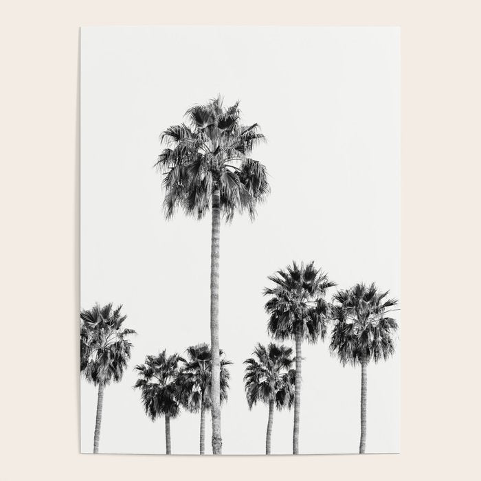 Los Angeles Palm Trees - Black and White Photography Poster Gallery Image 4