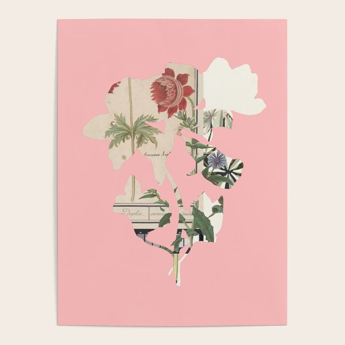 the first plant  · botanical b Poster Gallery Image 1