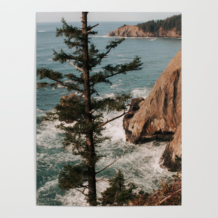 Oregon Coast IV Poster Gallery Image 4