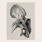 Dinosaur Skeleton Ink Pen Illustration Triceratops Poster Gallery Image 4