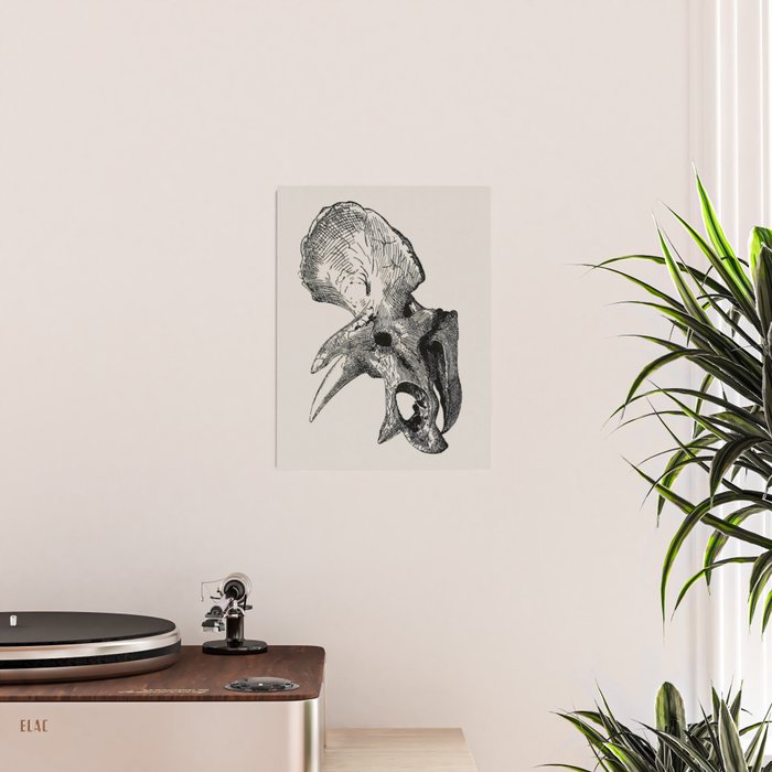 Dinosaur Skeleton Ink Pen Illustration Triceratops Poster Gallery Image 2