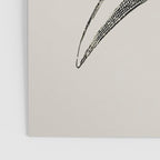 Dinosaur Skeleton Ink Pen Illustration Triceratops Poster Gallery Image 3