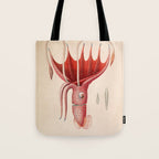 Octopus from "Mollusques Méditeranéens" by Jean Baptiste Vérany, 1851 Tote Bag Gallery Image 1