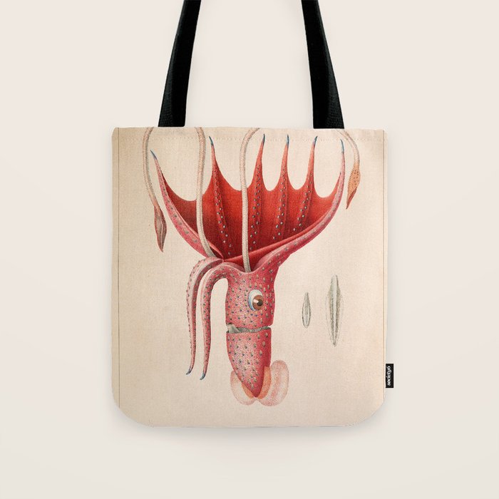 Octopus from "Mollusques Méditeranéens" by Jean Baptiste Vérany, 1851 Tote Bag Gallery Image 1