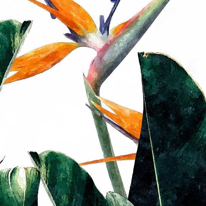 Paradise Bird, Nature Botanical Plant Floral, Tropical Garden Watercolor Painting Coffee Mug Gallery Image 2