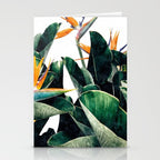 Paradise Bird, Nature Botanical Plant Floral, Tropical Garden Watercolor Painting Stationery Card Gallery Image 2