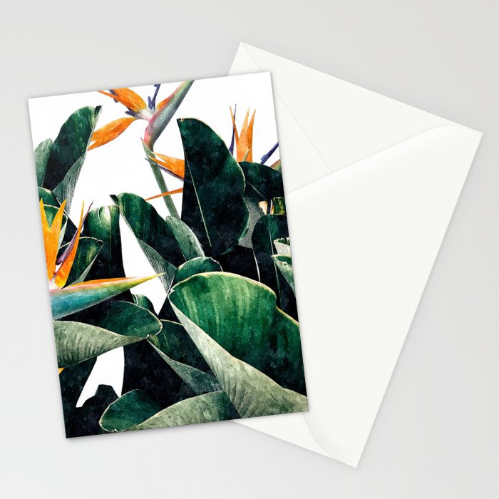 Paradise Bird, Nature Botanical Plant Floral, Tropical Garden Watercolor Painting Stationery Card Gallery Image 2