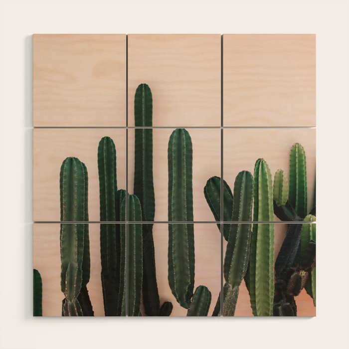 Cabo San Lucas Wood Wall Art Gallery Image 1