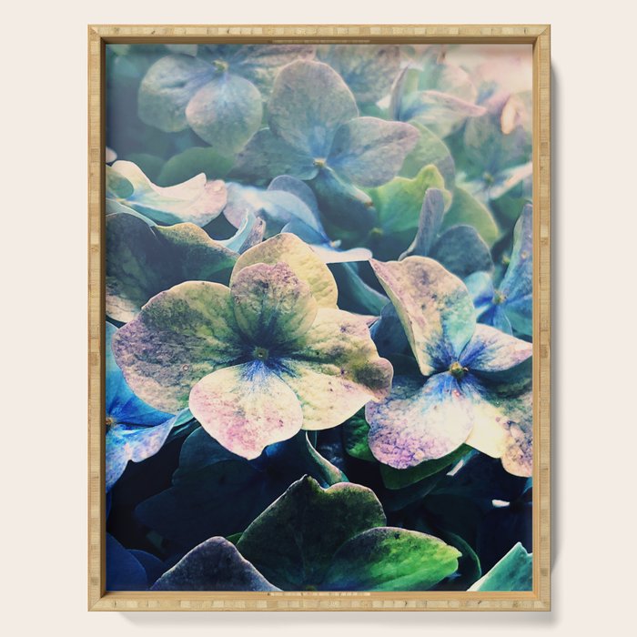 Blue Hydrangea Flower Botanical Serving Tray Gallery Image 1
